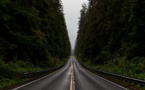 Road That Leads To Zero And Scores High In Safety