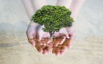Environmental standards in the book industry: where are we standing?