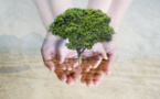 Environmental standards in the book industry: where are we standing?