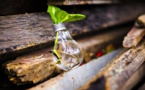 BIER To Build ‘Future Scenarios Toolkit’ To Help Corporate Communities To Plan Their Future Better