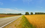 The Ray Highways Shouldering The Responsibility Of Farming