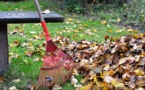 Celebrating 20 Years Of Great American Cleanup With ‘#cleanYOURblock’ Theme