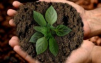 Latest Ethical Corporation Briefing Features ‘Key Strategies’ To Measure ‘Natural Capital’