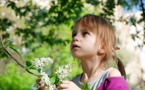 Plant Bullied By Students Began Wilting Within A Month