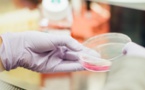 Amgen’s Commitments Are Captured In Its ‘2017 Responsibility Highlights Report’ Amgen’s Commitments Are Captured In Its ‘2017 Responsibility Highlights Report’