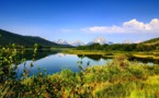 The First Ever Listed Carbon Credits of Colorado Ranches