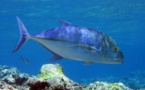Marina Bay Sands &amp; WWF Partner To Promote Ocean &amp; Seafood Conservation