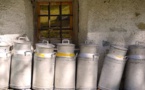 Dairy Hub’s Vital Role In Sustainable Food Security