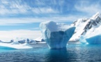 1% For The Planet Ensures Impactful Environmental Giving