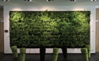Capturing The ‘Lush Green Landscapes’ In Workspace Design Capturing The ‘Lush Green Landscapes’ In Workspace Design