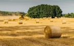 Replacing ‘Certified Fresh Wood Fiber With Renewable Wheat Straw’
