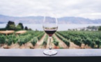Sustainability Through The Eyes Of The Largest Vineyard Business’ C.E.O In India