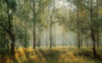 Reflecting On A Profound Experience Of A Forest Stewardship