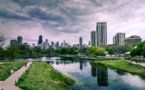 Alliant Energy Honoured With ‘2020 Tree Line USA Award’ Alliant Energy Honoured With ‘2020 Tree Line USA Award’