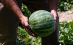 Fair Trade USA Joins Walmart List For Third Party Audit Support To Consumer Compliance 
