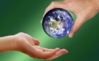 Collaborating To Create Supply Chain Sustainability Standards And Certifications