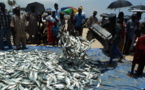Qualcomm, FHI, partners with Senegal to improves lives of fisheries sector Qualcomm, FHI, partners with Senegal to improves lives of fisheries sector