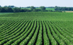 Minnesota’s food agriculture business leaders innovators collaborate to improve soil health practices, improve water, air quality, sequester greenhouse gasses and increase farmland profitability