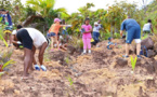 Arbor Day Foundation and J.M. Huber Corporation collaborate on reforestation