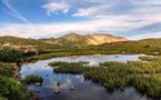 Tetra Tech and Jordan Lake One Water Coalitions bags 2022 US water Summit Award