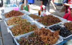 Anne Carlson discusses alternative food sources