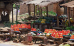 Afriagrimark is Cisco’s Global Problem Solver Challenge, People's Choice Award