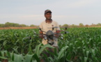 Economically empowering female farmers in Zimbabwe