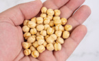 NuCicer moves closer to bring cost effective plant based protein to consumers NuCicer moves closer to bring cost effective plant based protein to consumers