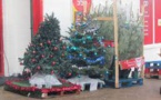 Recycle your Christmas tree at Home Depot