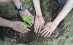 Bacardi celebrates 161st anniversary by planting trees