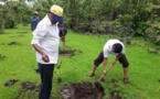 Arbor Day Foundation completes 535 community tree planting projects