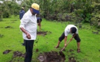 Arbor Day Foundation completes 535 community tree planting projects Arbor Day Foundation completes 535 community tree planting projects
