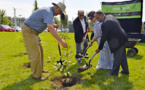 Arbor Day Foundation planted more than 500,000 trees in the United States in 2022