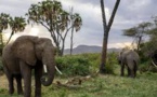 Creating a Genome Atlas could help save endangered species