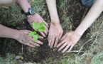 Arbor Day Foundation partners with Credit One Bank, offers unique tree planting opportunities 