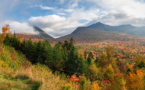 Meet the New Members of American Forest Foundation's Board of Trustees