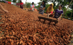 Empowering Cocoa Farmers: Hershey's Income Accelerator for Sustainable Growth and Community Transformation