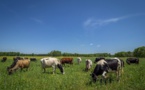 Aurora Organic Dairy's 2022 Sustainability Report: Achieving Animals, People, and Planet Goals