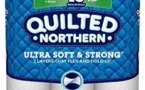 Quilted Northern: Eco-Friendly Bath Tissue with Sustainable Packaging and Forest Restoration Initiatives