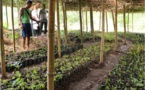 Green Initiative for Land Reclamation and Community Engagement: Covia’s Forest Nursery in Mexico