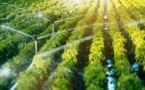 Innovative Crop Protection: Digital Tools, Drones, and Biologicals