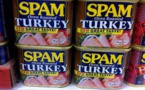 SPAM® Brand Supports Maui Wildfire Relief Efforts with $1M Donation