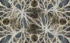 Alkermes Pathways Research Awards 2023: Funding Neuroscience Innovations