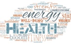 Maximizing Employee Health and Energy Efficiency: An Economic Analysis of WELL Certification