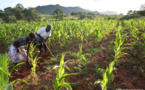 Empowering Smallholders: BayG.A.P. Training and Innovation Initiatives