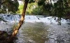 Viatris’ Sustainable Water Management and Waste Reduction Initiatives