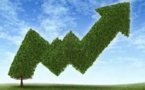 China &amp; Corporates - A New Height for Green Bonds