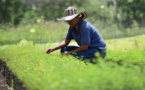 Field to Market’s Proposed Biodiversity Metric Revision: Introducing the WILD Index