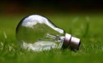 SEE's Sustainable Innovations: Recycled Air Pillows, Liquid Packaging System, and Award-Winning Insulated Bags