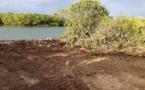 Chinese Developers threaten Antigua’s Marine Ecology